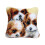 Pillowcase latch and hook kit 43x43 cm dog pattern 2