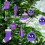 Christmas tree ornaments purple plastic 21 pcs 4