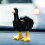 Duck Sculpture Resin Home Decor 7.5cm Black 4