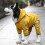 Waterproof Dog Jacket Winter Windproof Hoodie 5
