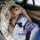 Vampirina flannel throw blanket 60" x 50" 8