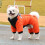 Dog Winter Coat Reflective Windproof Padded Jacket 7