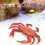 Realistic Crab Toy Red Plastic Ocean Animal Bath Play 5