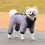 Dog Winter Coat Reflective Windproof Padded Jacket 5