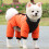 Dog Winter Coat Reflective Windproof Padded Jacket 6