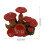 Mini mushroom terrarium natural appearance aquarium decor 4