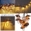 Iron Rose Gold Lampshade for LED String Lights 6ft 2