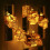 Kyoffiie Halloween string lights 20 LED 9.8 ft 2 pcs 4