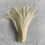 Rooster Tail Feathers Natural Beige Wine Red 50 pcs 4