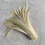Rooster Tail Feathers Natural Beige Light Purple 50 pcs 3