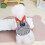 Pet Vest Fashionable and Practical 1 Piece 4