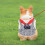 Pet Vest Fashionable and Practical 1 Piece 5