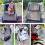 Bubble Backpack Djurbur för Katter och Hundar Svart 6