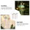 Glass Beach Nautical Christmas Ornaments 4pcs 3