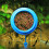 Lingouzi Aquarium Feeding Ring Set 2 Pack 6