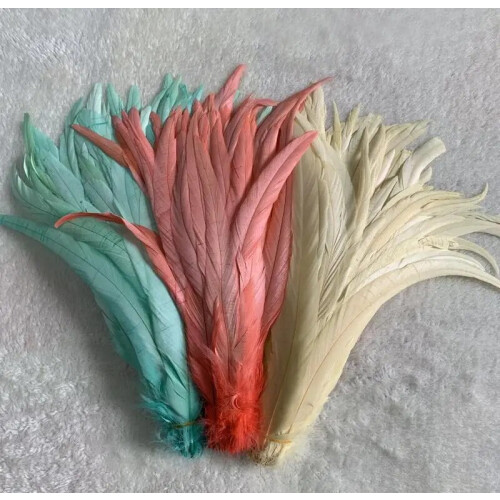 Rooster Tail Feathers Natural Beige Mint Green 50 pcs 1