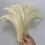 Rooster Tail Feathers Natural Beige Mint Green 50 pcs 5