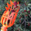 Fruit Picker Pole Garden Tool Orange 4