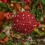 Christmas Ball Ornaments Pearl Sequins Red 6 pcs 5