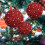 Christmas Ball Ornaments Pearl Sequins Red 6 pcs 6