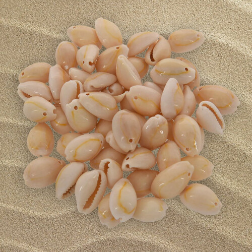 Shell Beads for Jewelry Making 50 pcs 2