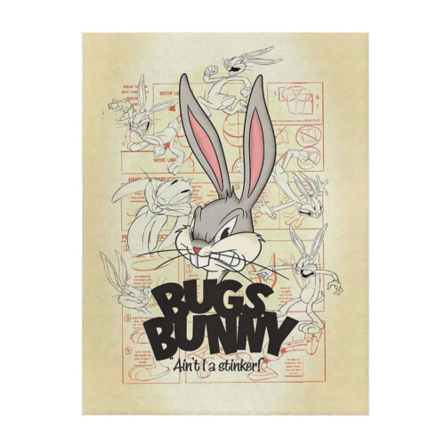 Bugs Bunny plush throw blanket 80" x 60"