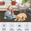 Woven Modern Area Rug Brown 5' x 7' 6