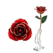 Real Rose Gold-Dipped 24K Long Stem Red Rose in Gift Box
