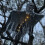 Hanging Halloween Skeleton Ghost Decorations Set of 3 5