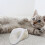 Hekezhi cat head cover transparent anti-biting muzzle 3