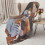 Lola Bunny plush throw blanket 50" x 40" 5