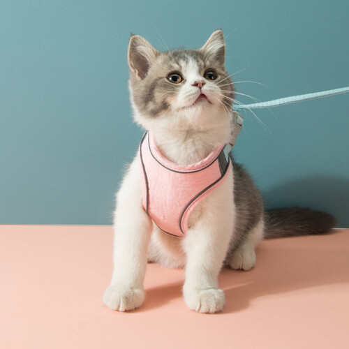 Dog Harness Padded Step-in Adjustable for Small Medium Dogs 2