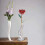 Real Rose Gold-Dipped 24K Long Stem Red Rose in Gift Box 6