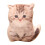 Christmas kitty pillow plush toy 50cm 2