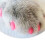 Cat Nail Caps Soft Plastic Paw Protector 20 pcs 4