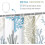 Shower Curtain Nautical Blue 72x84 Inches 5