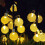 LINKPAL Solar LED String Lights Warm White 30 LED 2