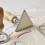 Ravioli Cutter Stamp Mold Set 4 inch 7 pcs with Rolling Pin 3