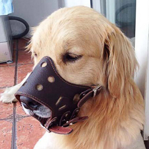 PU Leather Dog Muzzle Adjustable Mesh Grooming 1