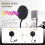 2X High Quality Microphone  Filter Metal  Filter Shield Windscreen  Filter 5