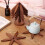 Wooden Trivets Set Walnut 5pcs 7.87 inch 6
