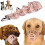 Limei Plastic Dog Muzzle Breathable Mesh Adjustable 1
