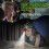 Lanterna de cabeça de dinossauro LED infantil estilo T-Rex (1 unidade) 7