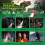Lanterna de cabeça de dinossauro LED infantil estilo T-Rex (1 unidade) 4