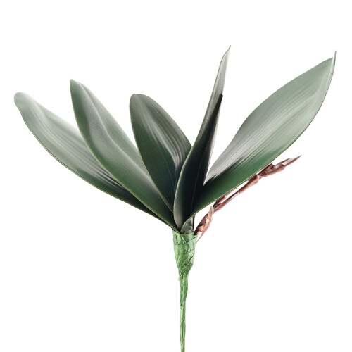 Τεχνητά πράσινα φύλλα ορχιδέας Phalaenopsis από τεχνητό δέρμα, σύνθεση με φυτά από 1