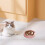 Halloween Pet Bowl Indoor Fall Decoration 1pc 2
