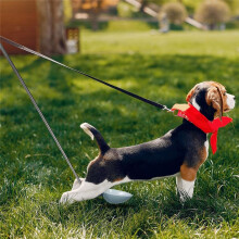 Dog Urine Collector Dog Urine Collection Pack, Include Telescopic Dog Urine Sample Catcher, Urine Sample Cups, Pipettes