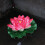 Artificial Lotus Flower Floating Water Lily 1 pc 7