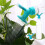 Christmas plastic sprinkler nozzle for indoor flower 3