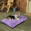Jacenvly plush dog kennel bed purple 4